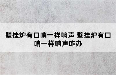 壁挂炉有口哨一样响声 壁挂炉有口哨一样响声咋办